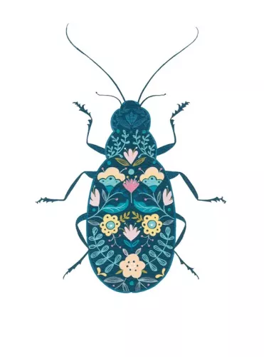 Floral Beetle, Greeting Card