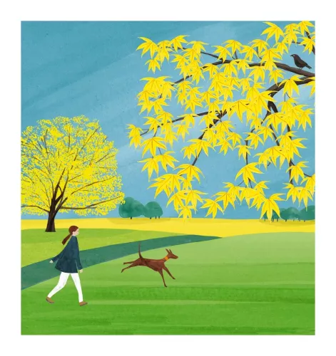 Rd06A - Yellow Leaves & Dog Walker, Greeting Card