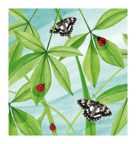 Rd07A - Butterflies & Ladybirds, Greeting Card