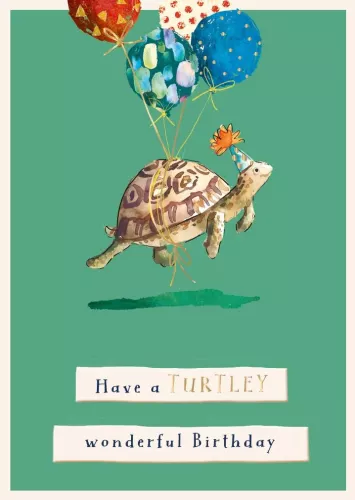 Turtley Wonderful Birthday, Wilf And Alfie, Greeting Card