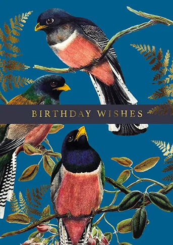 Birthday Wishes, A Year In The Garden, Greeting Card