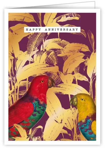 Parrots, Brilliant & Wild, 0474