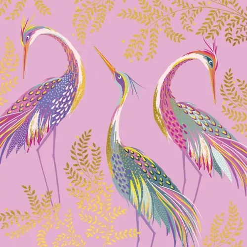 Three Cranes on Pink, Greeting Card