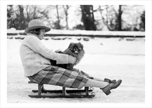 WOMAN AND DOG ON SLEDGE, Greeting Card