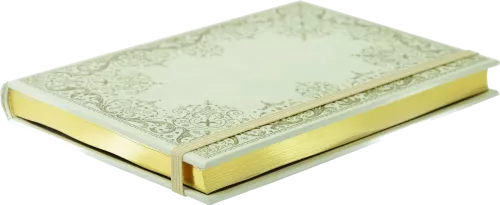 Gilded Ivory, Small Journal