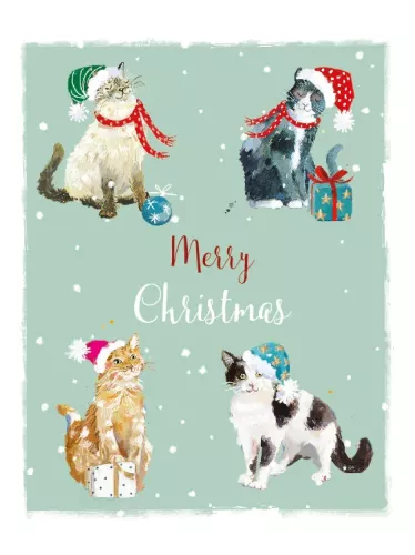 Purr-fect Christmas, box with 8 Christmas cards