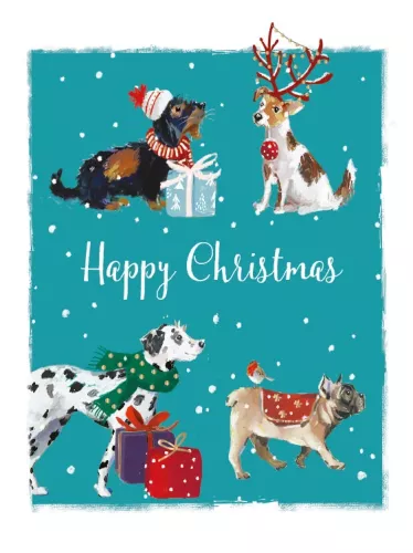 Paw-fect Christmas, box with 8 Christmas cards