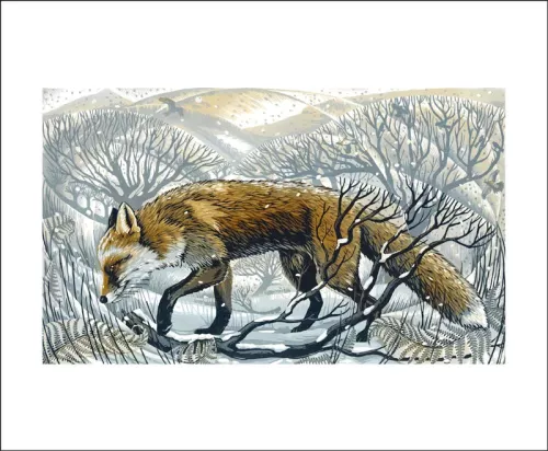 Winter Fox By Martin Truefitt-Baker, Greeting Card