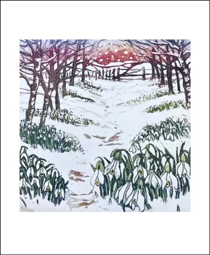 Snowdrop Wood by Sally Winter, Greeting Card