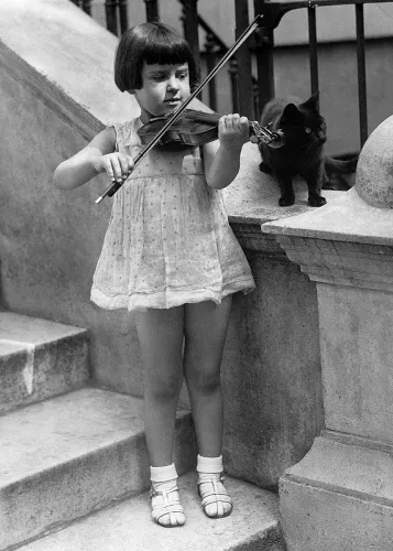 Violin and cat, Greeting Card