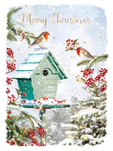 Red Robins, box with 8 Christmas cards
