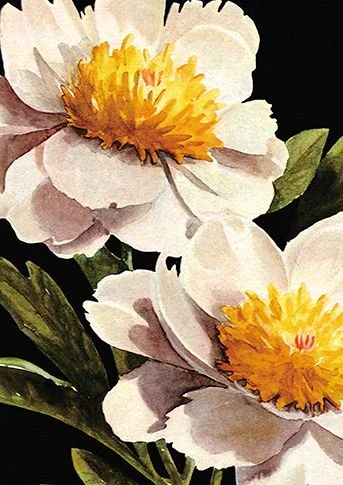Yellow And White Flowers, Dubbelvikt Kort