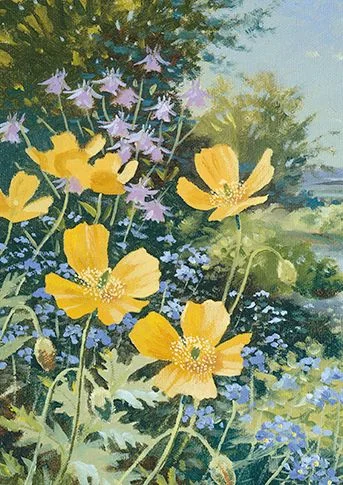 Welsh Poppies, Dubbelvikt Kort