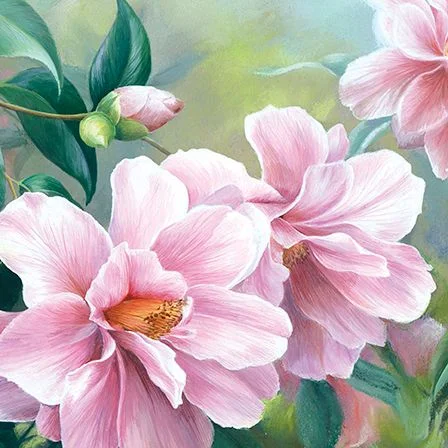 Camellias, Dubbelvikt Kort