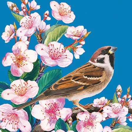 Sparrow & Blossom, Dubbelvikt Kort