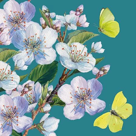 Blossom & Butterflies, Dubbelvikt Kort