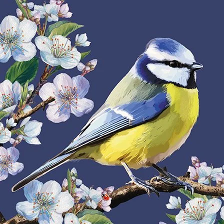 Blue Tits & Blossom, Dubbelvikt Kort