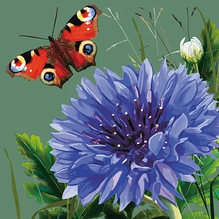 Comflower & Butterfly, Dubbelvikt Kort