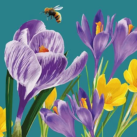 Crocus & Bee, Dubbelvikt Kort