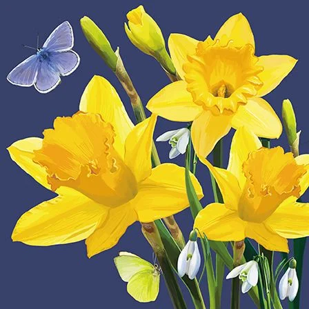 Daffodills & Butterfly, Dubbelvikt Kort