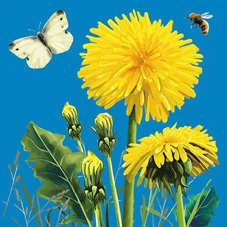 Dandelions, Dubbelvikt Kort