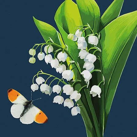 Lily Of The Valley, Dubbelvikt Kort