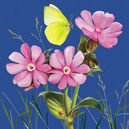 Bright Botanicals 11, Dubbelvikt Kort