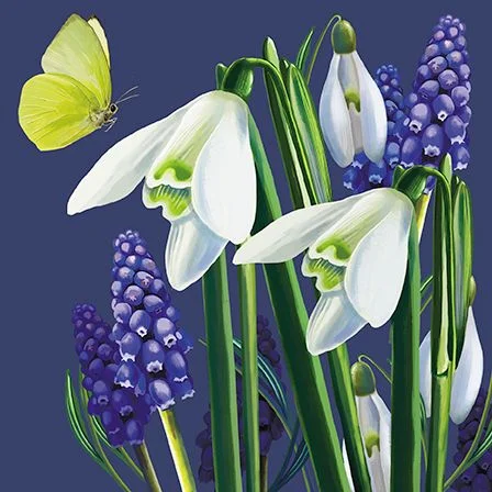 Snowdrops, Dubbelvikt Kort
