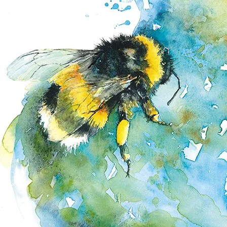 Bumble Bee, Dubbelvikt Kort