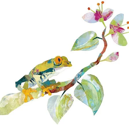Tree Frog, Dubbelvikt Kort