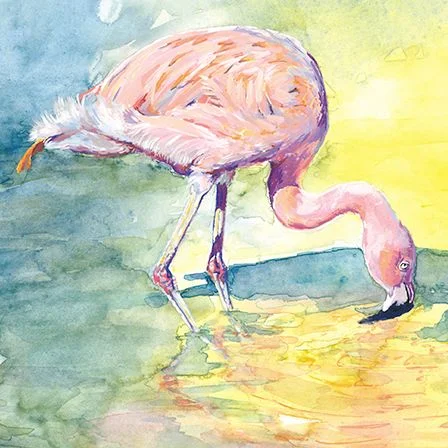 Flamingo Sunset, Dubbelvikt Kort