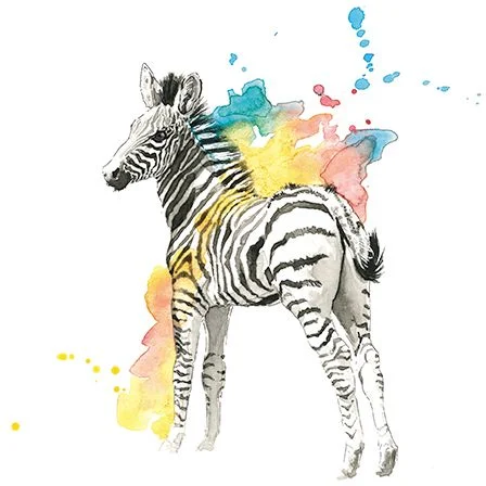Watercolour Zebra, Dubbelvikt Kort