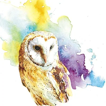 Watercolour Owl, Dubbelvikt Kort