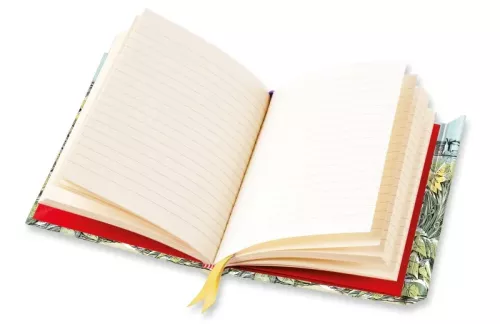 Angela Harding: Look Out! (Foiled Journal)