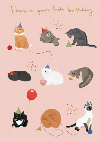 Nine Cats on Pink , Greeting Card