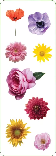 Sticker Set Flowers