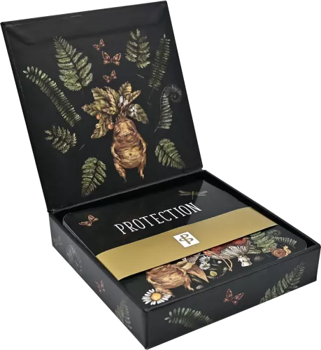 Insight Cards Everyday Spells For Busy Witches