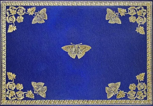 Note Card Gilded Butterflies