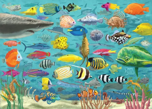 Puzzle All The Fish