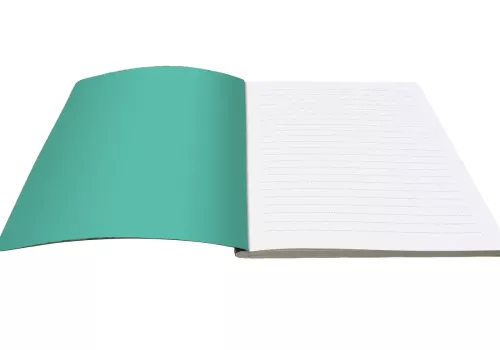 Dino Mighty Jamboree A5 Softback Journal