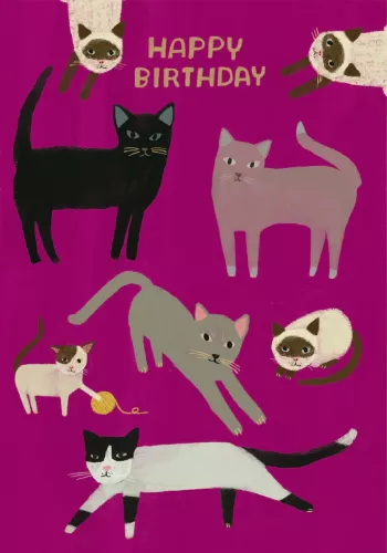 Playful Cats Petite Card