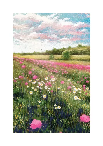 Daisies In Meadow, Greeting Card