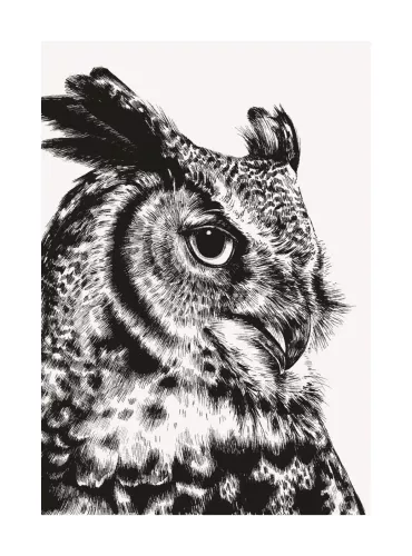 Great Horned Owl, Greeting Card