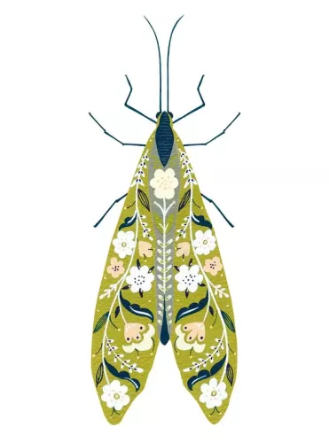 Moss Green Bug, Greeting Card
