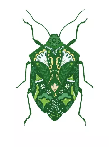 Dark Green Beetle, Greeting Card