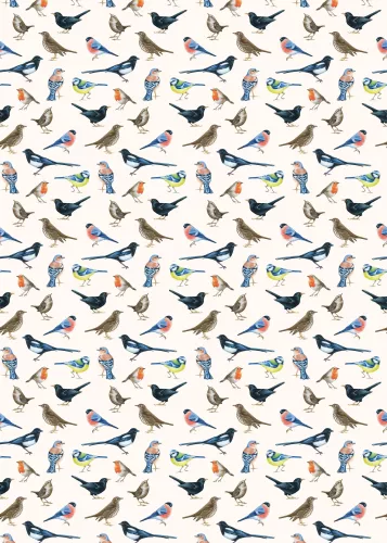 Birdsong Cream Birds 3M Roll Wrap