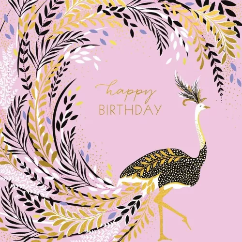 Ostrich On Pink, Greeting Card