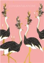 Congratulations Ostriches, Greeting Card