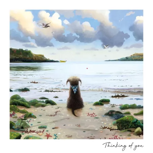 Dog At The Seaside, Greeting Card