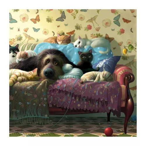 Dog & Cats On Sofa, Greeting Card